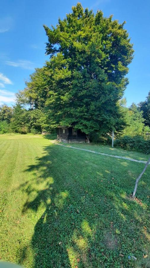 Villa M&M Kuca Za Odmor Vrbovec Exterior foto